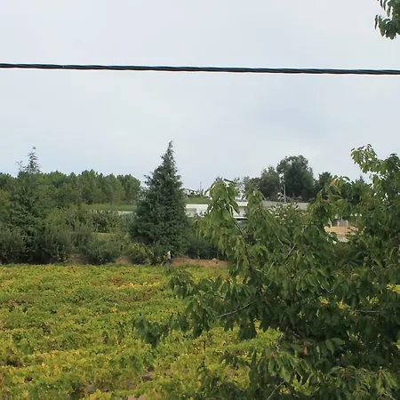 Çiftlik konaklama Casa Do Batista *