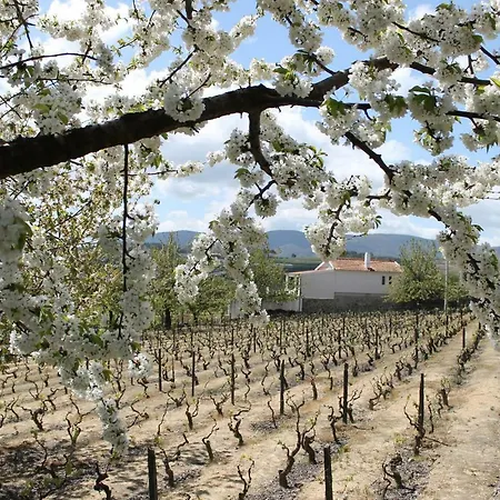 Casa Do Batista Κατάλυμα σε φάρμα Britiande