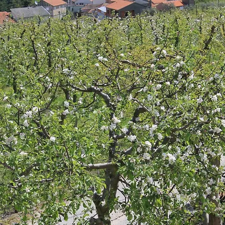 Casa Do Batista Κατάλυμα σε φάρμα *