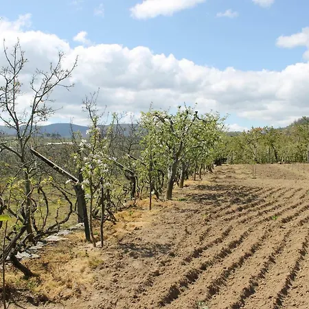 Casa Do Batista Britiande