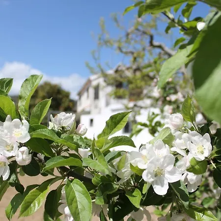 Casa Do Batista Farm stay Britiande
