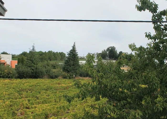 Gospodarstwo agroturystyczne Casa Do Batista *