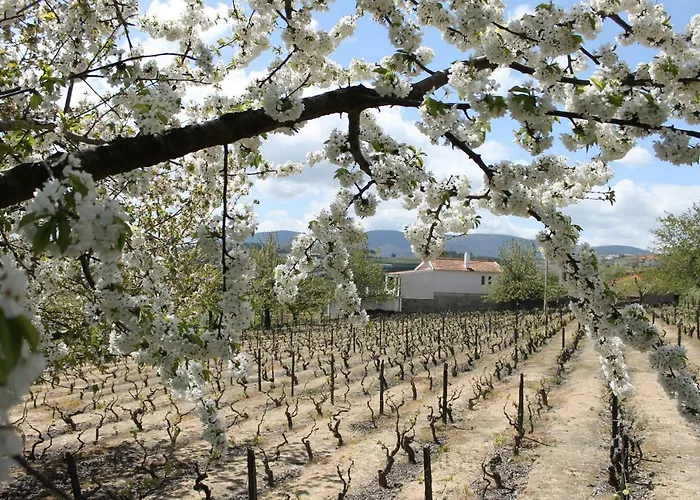 Casa Do Batista Gospodarstwo agroturystyczne Britiande