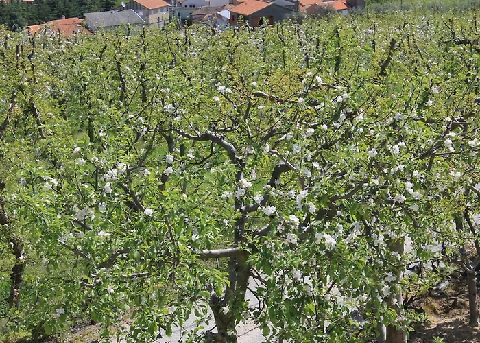 Casa Do Batista Gospodarstwo agroturystyczne *