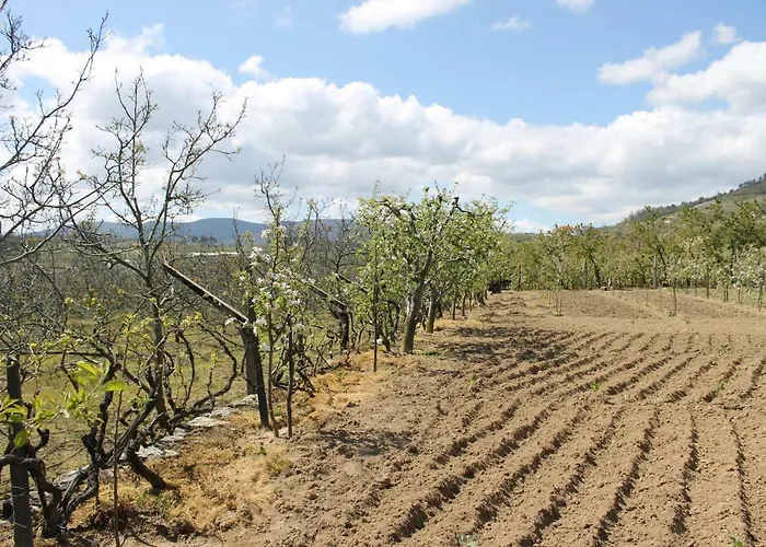 Casa Do Batista Britiande