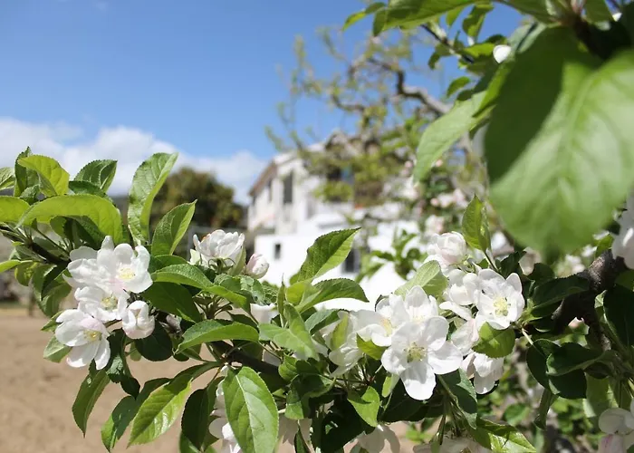 Casa Do Batista Gospodarstwo agroturystyczne Britiande